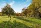 Additional image 6 of Paradise Park, 142a Lea Bridge Road, London