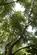 Additional image 4 of Coed Euryn (2 and three quarter acres), Mochdre, Colwyn Bay, Conwy LL28