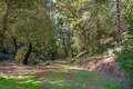 Additional image 50 of 1610 Swansboro Rd, Placerville, CA, 95667
