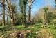 Additional image 6 of Lagham Park, South Godstone, Godstone, Surrey, RH9