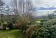 Additional image 5 of Llanfarian SY23