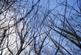 Additional image 11 of Coed Gwy (about 6 and a quarter acres), Llangurig, Powys SY18