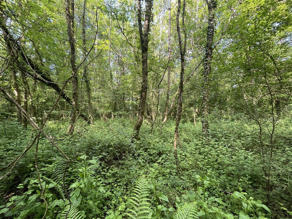 Additional image 2 of Land for saleLongburton, Sherborne, Dorset DT9