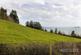 Additional image 2 of Steep Hill, Maidencombe, TQ1
