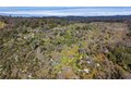 Additional image 20 of 2320 Painted Pony Rd, Somerset, CA, 95684