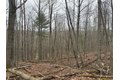 Winding Stair Rd, Hammondsport, NY, 14840 photo 5