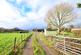 Additional image 7 of South Godstone, Godstone, Surrey, RH9