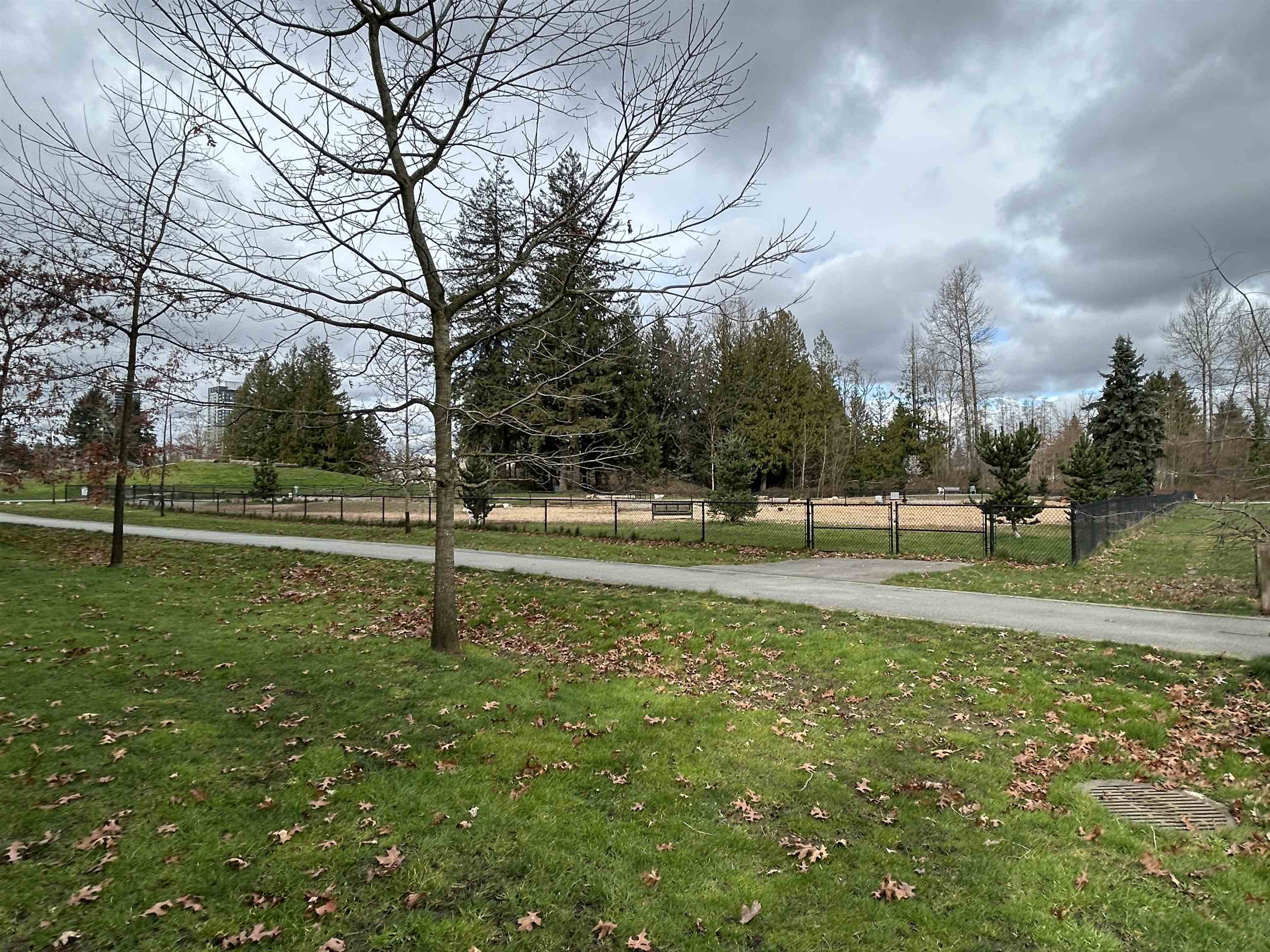 Additional image 2 of 512-10603 140 Street, Surrey, BC, V3T 0M8