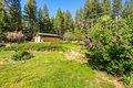 Additional image 38 of 30481 Rl Smith Logging Rd, Oak Run, CA, 96069