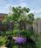 Additional image 25 of Gayton Close, Lincoln