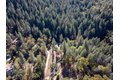 Additional image 38 of 1610 Swansboro Rd, Placerville, CA, 95667