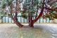 Additional image 8 of Broadlands,North Hill,Highgate,N6,London