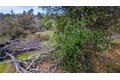 Additional image 38 of 2320 Painted Pony Rd, Somerset, CA, 95684