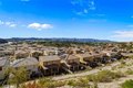Additional image 26 of 23744 Orange Blossom Dr, Newhall, CA, 91321