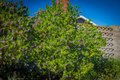 Additional image 31 of 75 Maxine Ave, Oak View, CA, 93022