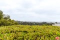 Additional image 29 of 2208 Westridge Rd, Los Angeles, CA, 90049