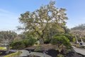 Additional image 58 of 8044 Golden Eagle Way, Pleasanton, CA, 94588