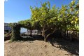 Additional image 10 of 40 Sandy Beach Rd, Vallejo, CA, 94590