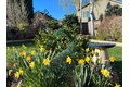 Additional image 45 of 1536 Jackdow Ct, Gilroy, CA, 95020