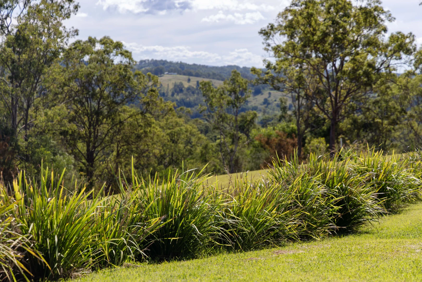 Additional image 34 of 1 Crystal Court, Ocean View QLD 4521