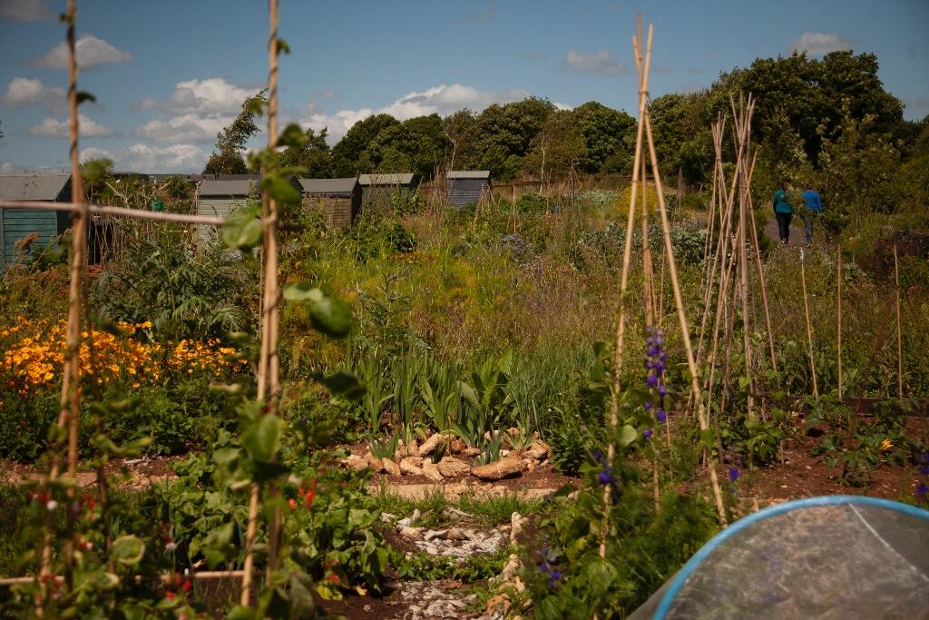 Additional image 10 of lifework communities, Hartley Farm, Winsley nr Bath BA15 2JB