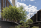 Additional image 22 of Electric Boulevard, London SW11
