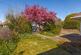 Additional image 19 of Ivydore Avenue, Worthing, BN13