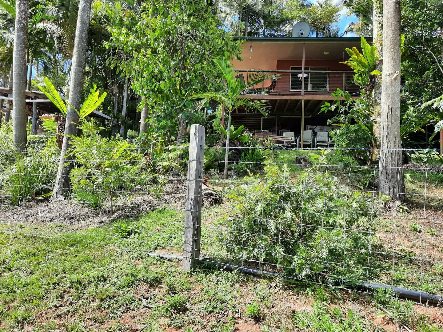 Additional image 13 of 184 Cathay Creek Road, Crediton QLD 4757