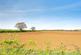 Additional image 19 of Queens Close, Daventry NN11