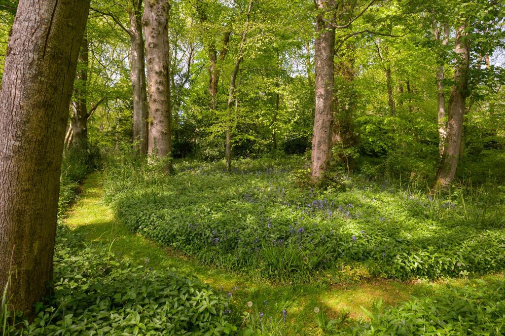 Additional image 27 of Redlynch Park, Bruton, Somerset, BA10