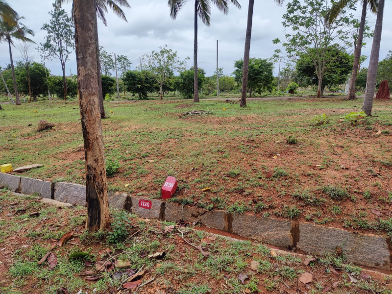 Additional image 3 of Yelawala, Mysore
