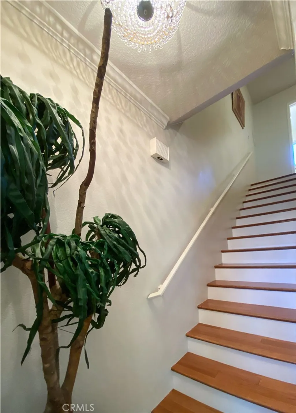 Additional image 16 of 17041 Roscoe Boulevard Unit 3, Northridge, CA 91325