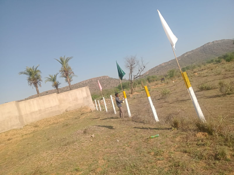 Shahpur Jat, Delhi photo 3