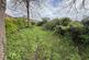 Additional image 7 of Molember Road, East Molesey KT8