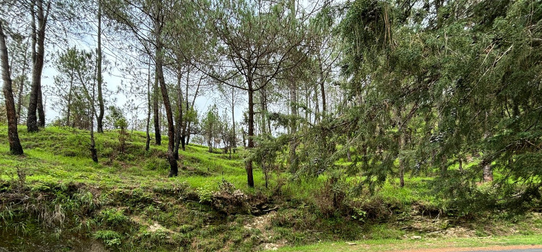 Mukteshwar, Nainital photo 3