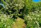 Additional image 32 of 47, Telford TF6