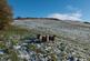 Additional image 56 of Brookbottom, New Mills, SK22