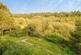 Additional image 14 of Two Waters Foot, Liskeard, Cornwall, PL14