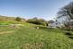 Additional image 19 of St. Ives TR26
