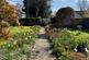 Additional image 3 of Cottage , Verwood, BH31 7AA