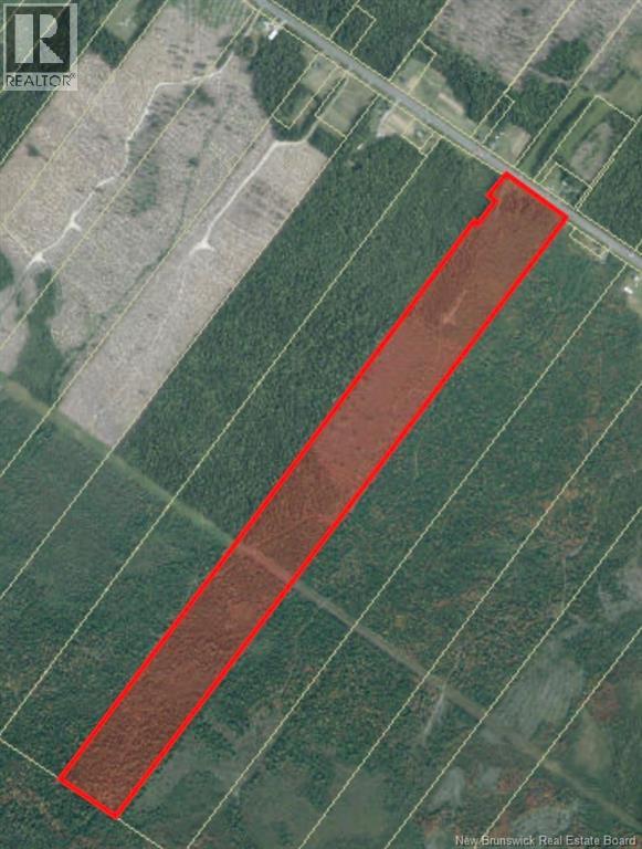 Vacant Lot Route 11
