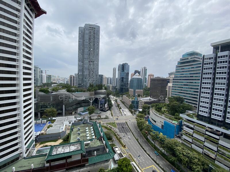 8 Scotts Road photo 4