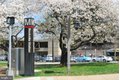 Additional image 40 of 1015 Veirs Mill Rd, Rockville, MD, 20851