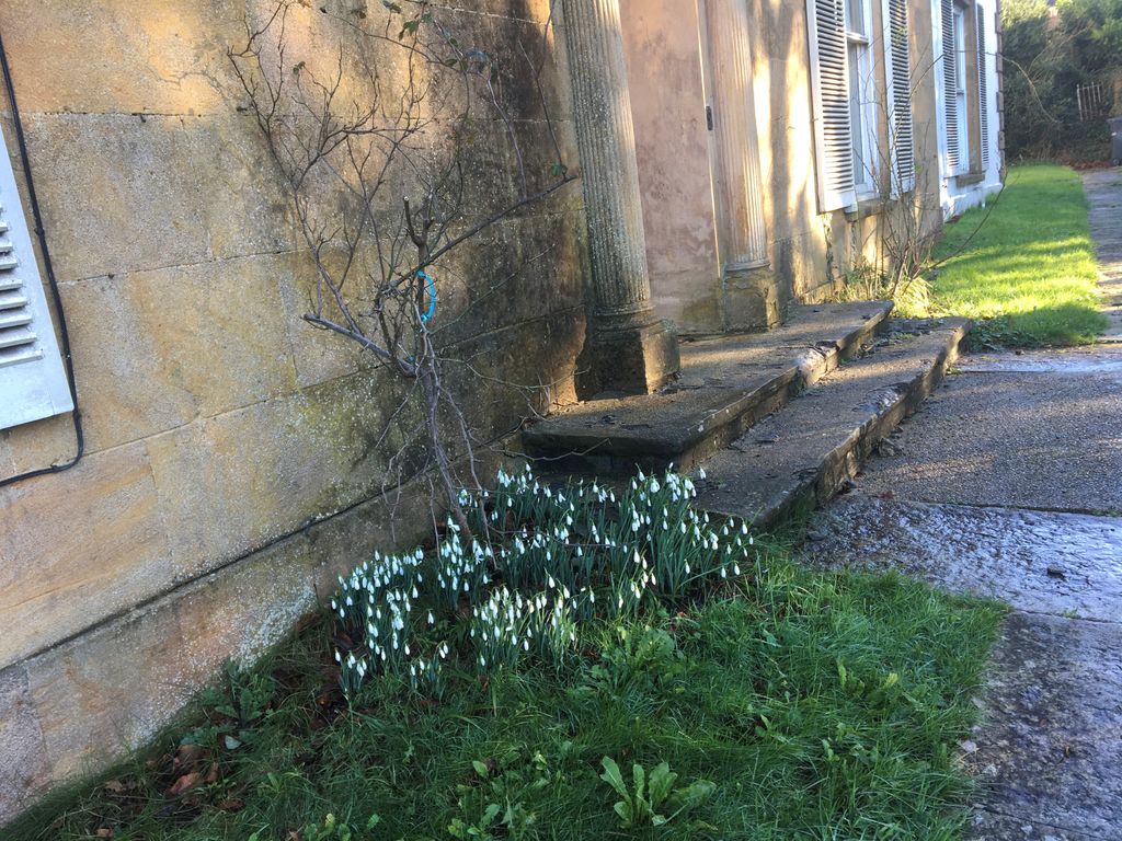 Additional image 15 of 7 bed property to rentStation Road, Ilminster TA19