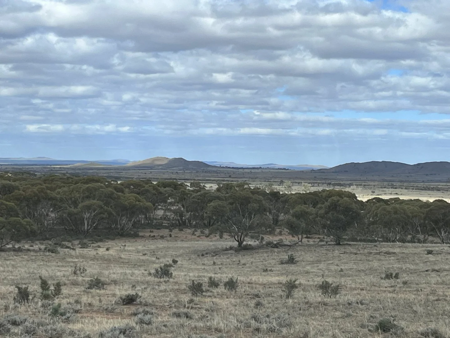 Additional image 8 of 'Cavenagh' Orroroo-Paratoo Road, Cavenagh SA 5422
