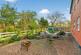 Additional image 32 of Burston Road, Diss, IP21