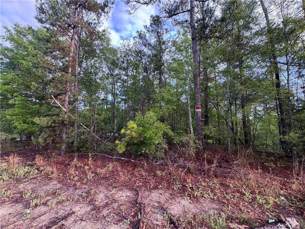 Additional image 8 of 18 Miller Drive, Phenix City, AL 36867