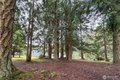 Additional image 31 of 202 W Emerald Forest Ln, Sequim, WA, 98382