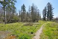 Additional image 25 of 11603 NE 138th Ave, Brush Prairie, WA, 98606