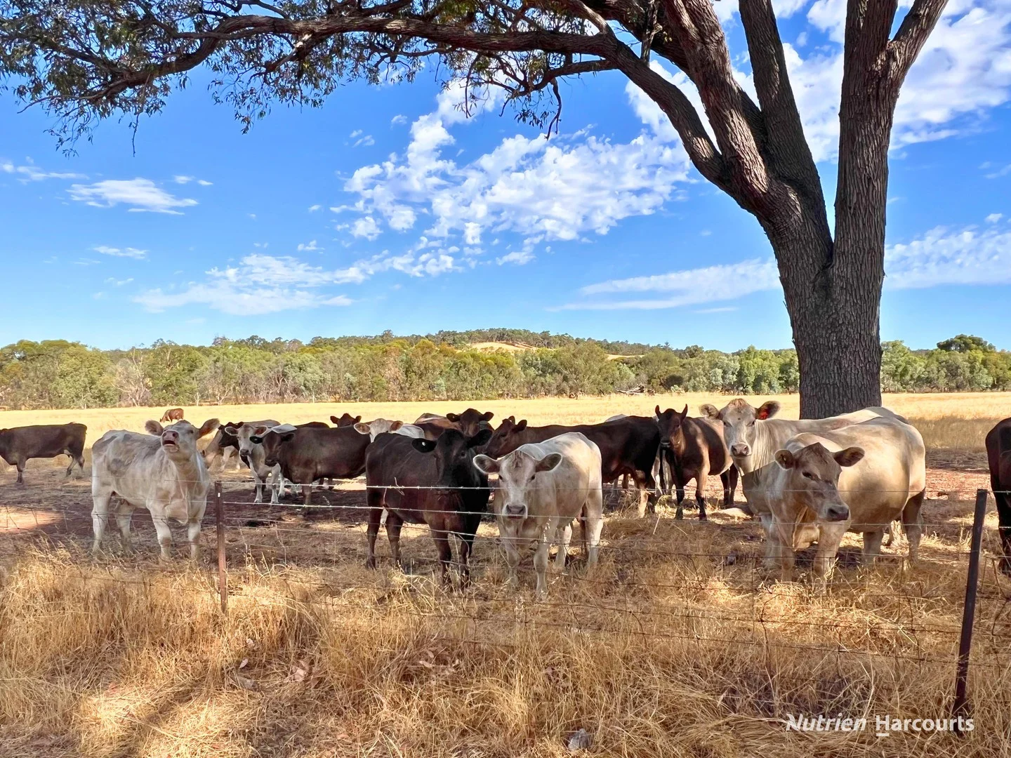 Lot 1 & 723 Wariin Road, Copley WA 6562